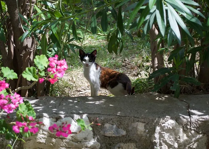 Appartamento Pantheon Nikiana